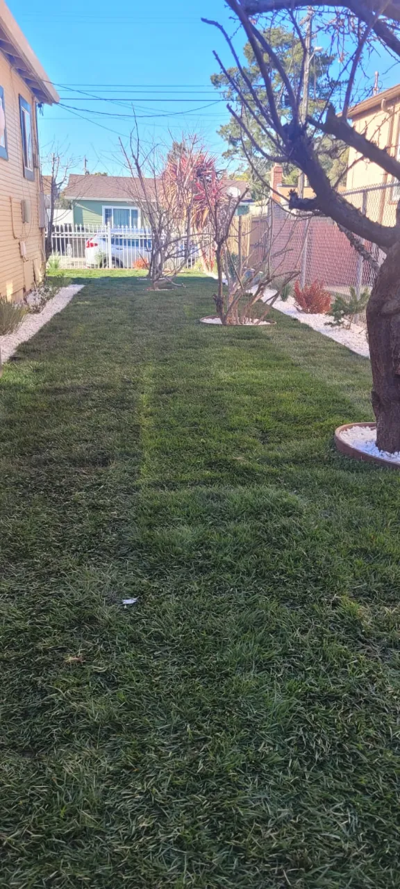 pablolandscapingmaintenanceca